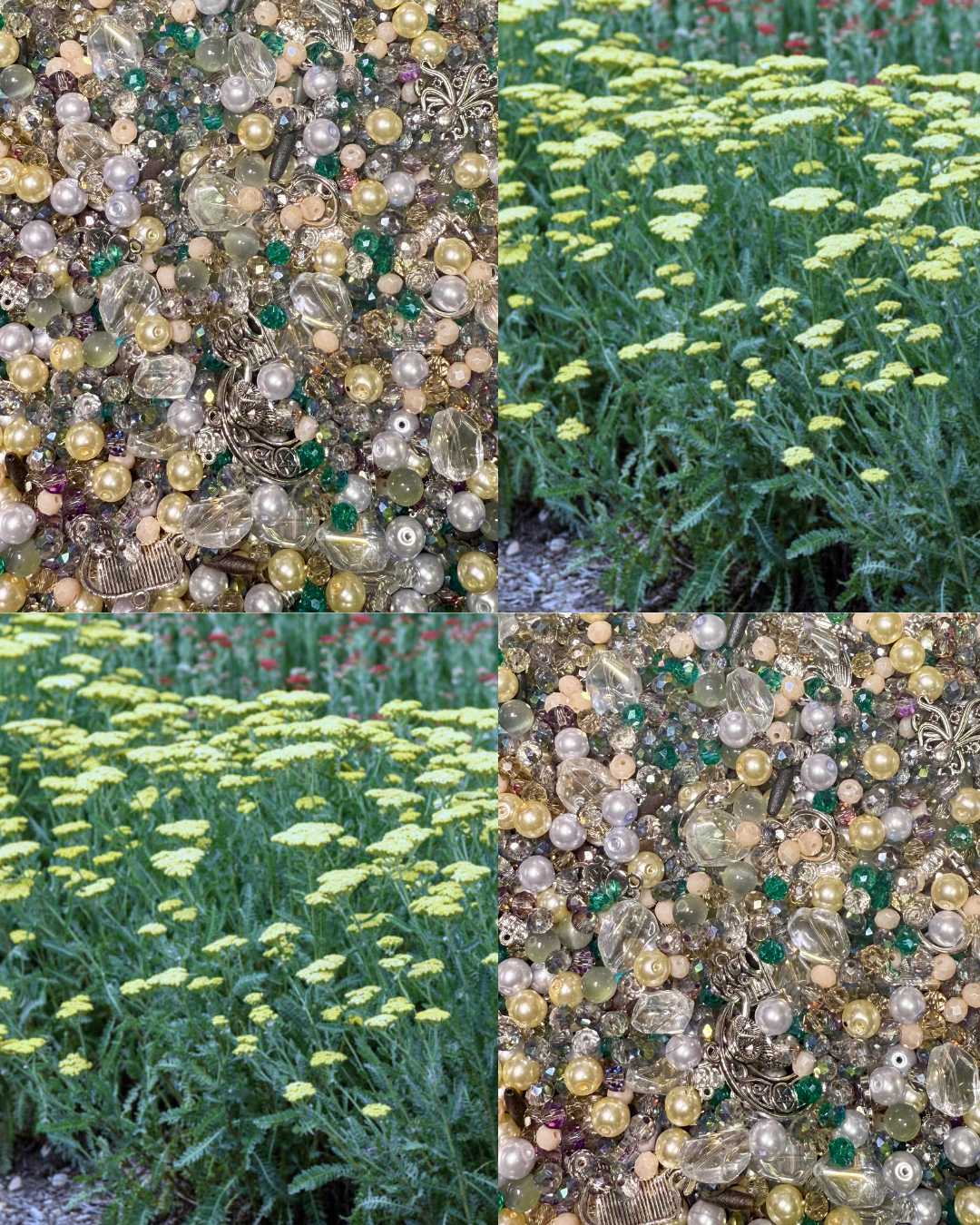 Lemon Meadow