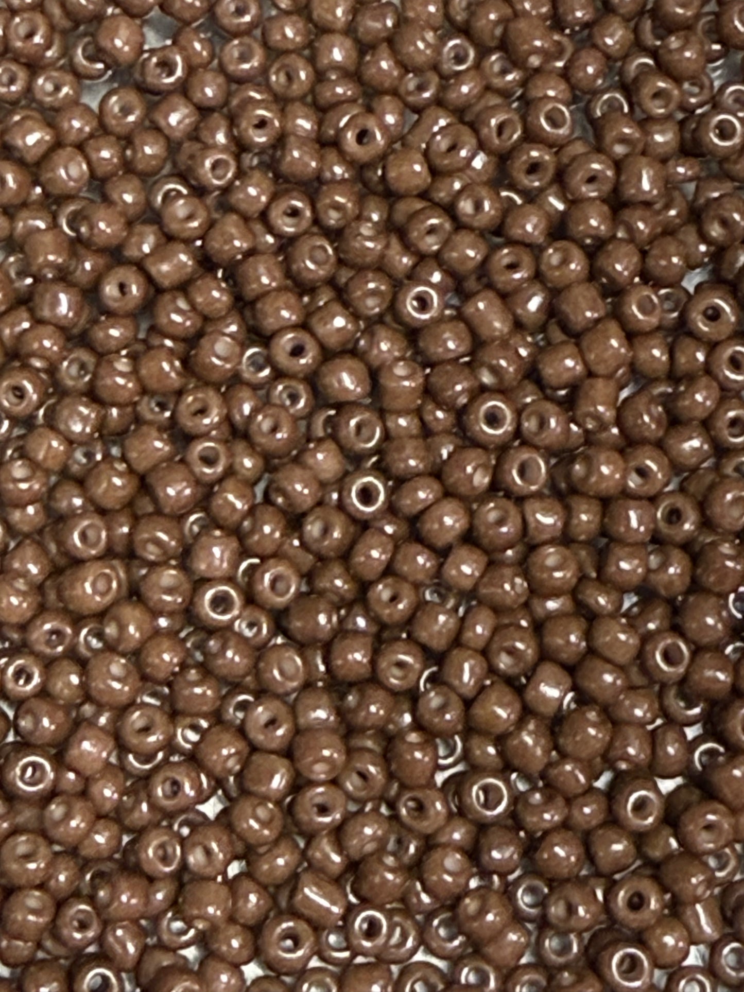 Chocolate brown (8/0)