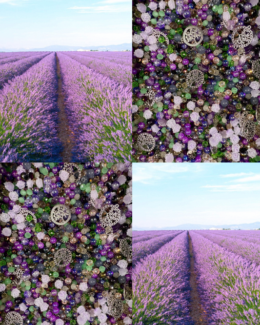 lavender Fields