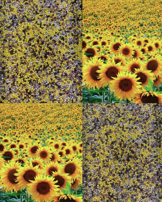 Tiny Sunflower