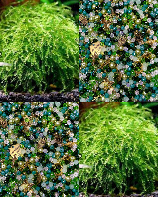 Pearl Moss