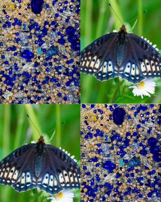 Butterfly Blues